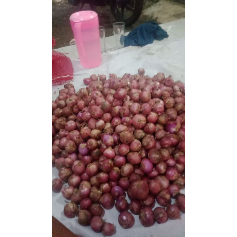 

bawang merah ukuran besar 1kg