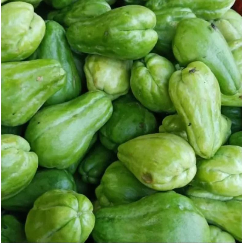 

Labu Siam gede 1 biji 4000