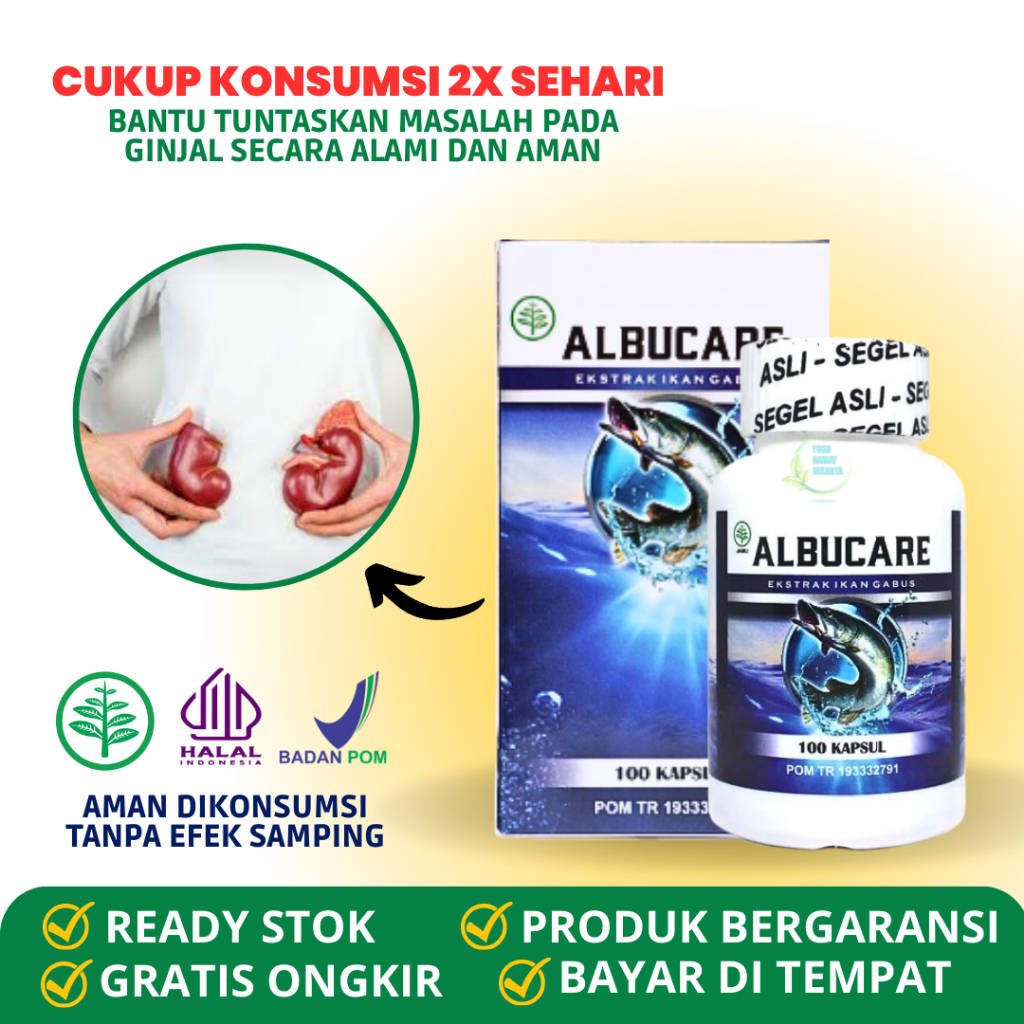 Obat Sindrom Nefrotik Ginjal Bocor Herbal Kerusakan Ginjal, Penurun Kadar Protein Tinggi Dalam Urine