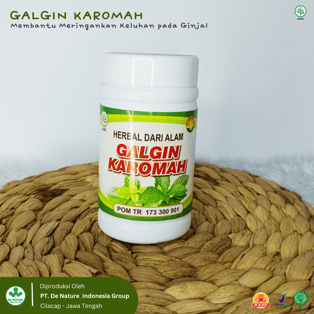 (100% Ampuh) Obat Herbal Penurun Kreatinin Tinggi, Leukosit Tinggi, Ureum Tinggi Pada Penderita Peny