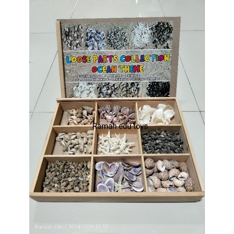 Loose parts collection ocean theme / Loose parts kerang