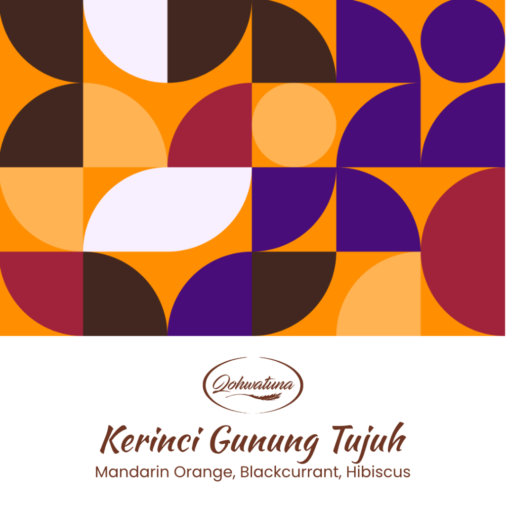 

Kopi Arabika Kerinci Gunung Tujuh 200 g (Biji Kopi / Roasted Beans) Special Qohwatuna Manual Brew Filter Coffee