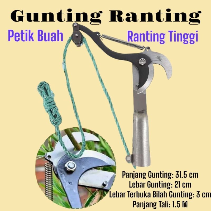 Gunting Ranting Gunting Buah Pohon Tinggi
