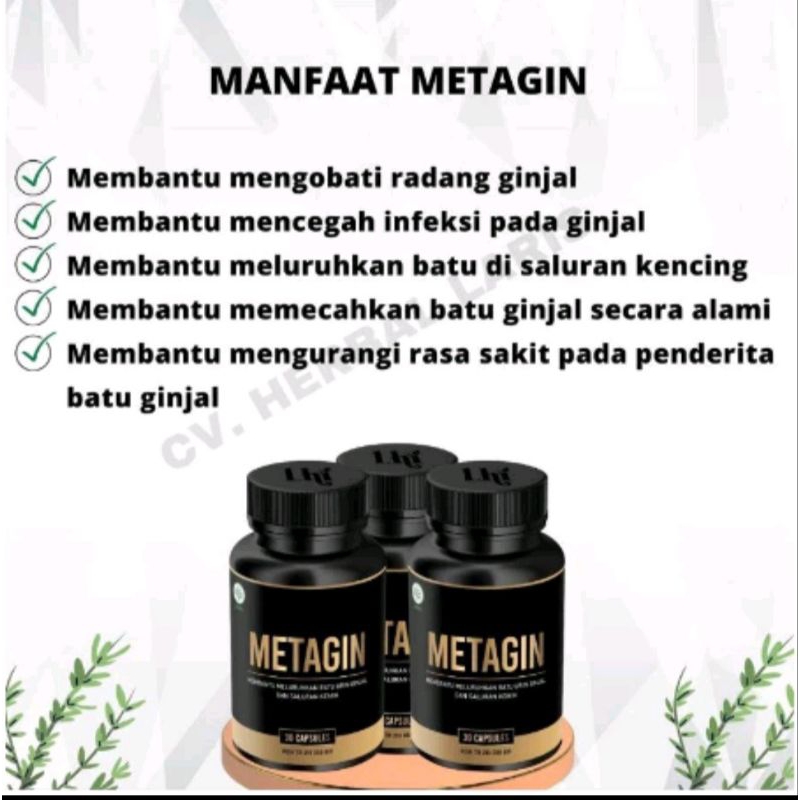 agen obat metagin kualitas bagus asli original bpom