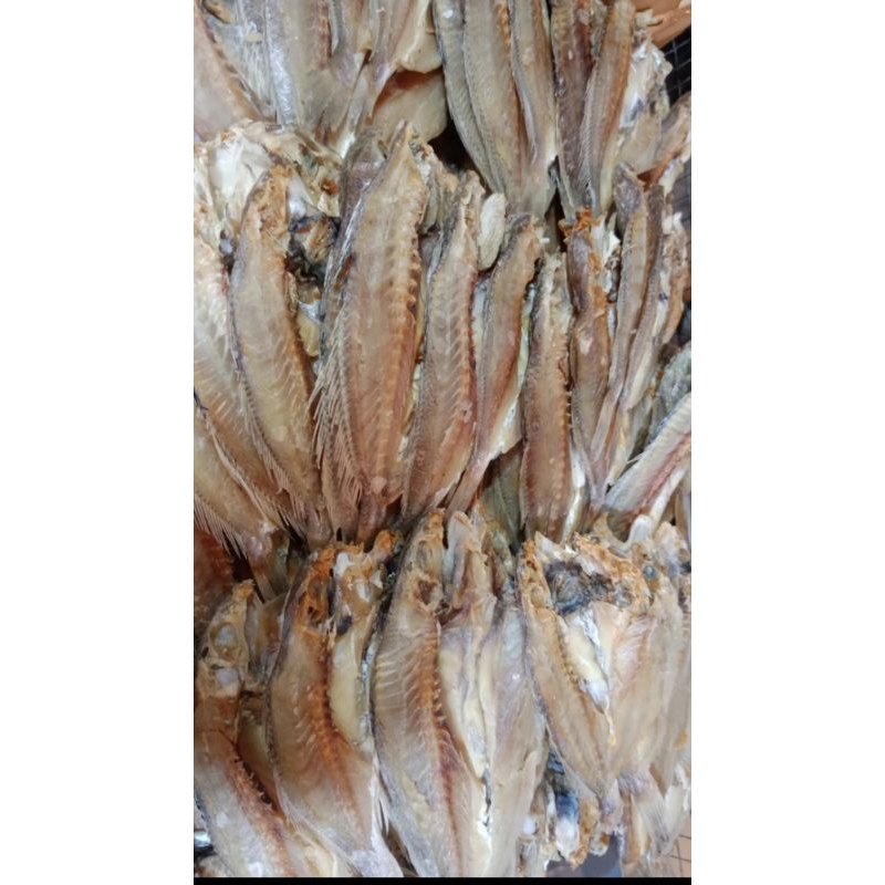 

ikan samge belah