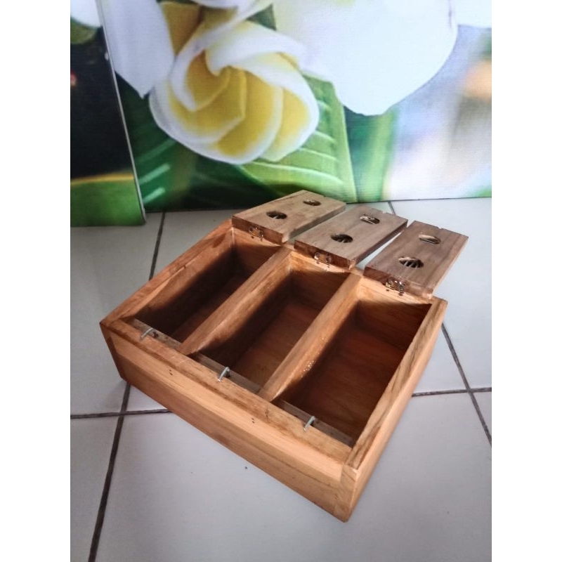 kandang jangkrik aduan 3 slot / kandang jangkrik kayu / rumah jangkrik sungu