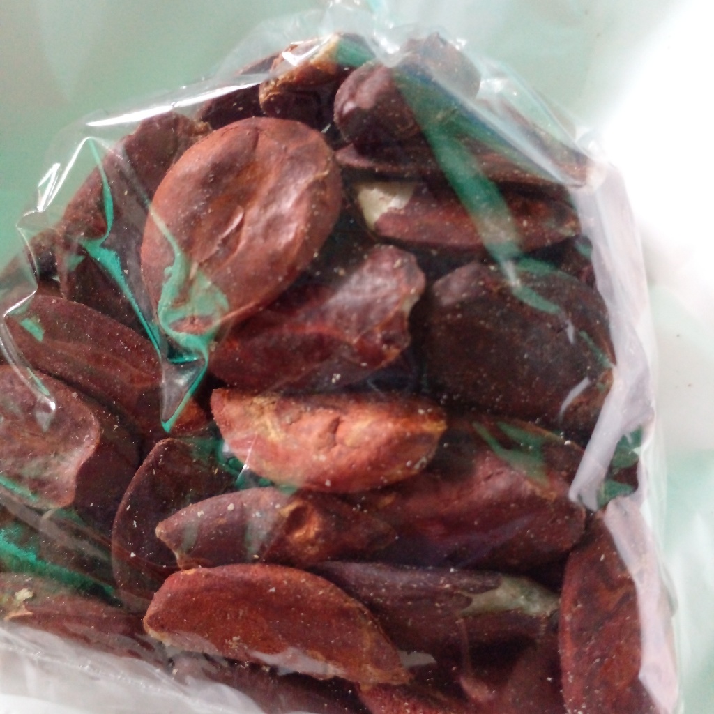 

rempah kacang kenari kulit ari 100 gram