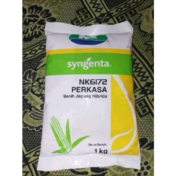 BIBIT JAGUNG PERKASA NK6172 BENIH JAGUNG HIBRIDA SYNGENTA