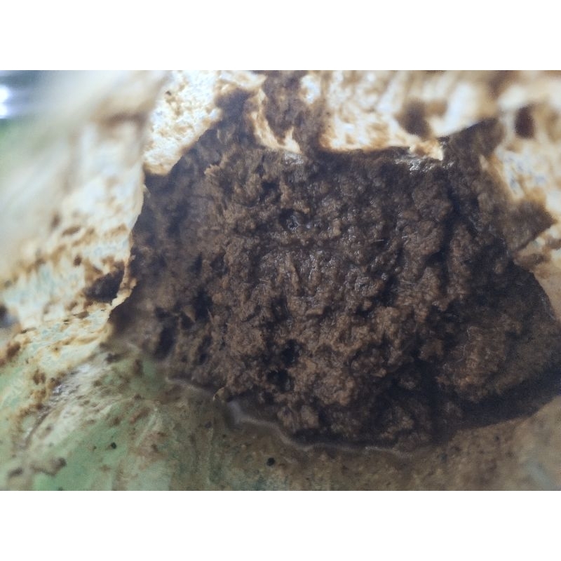 

Paket 10 Kg Blendet Bahan TEPUNG IKAN Protein Tinggi Tinggal Campur Bekatul dan Bahan Fermentasi FML EM4