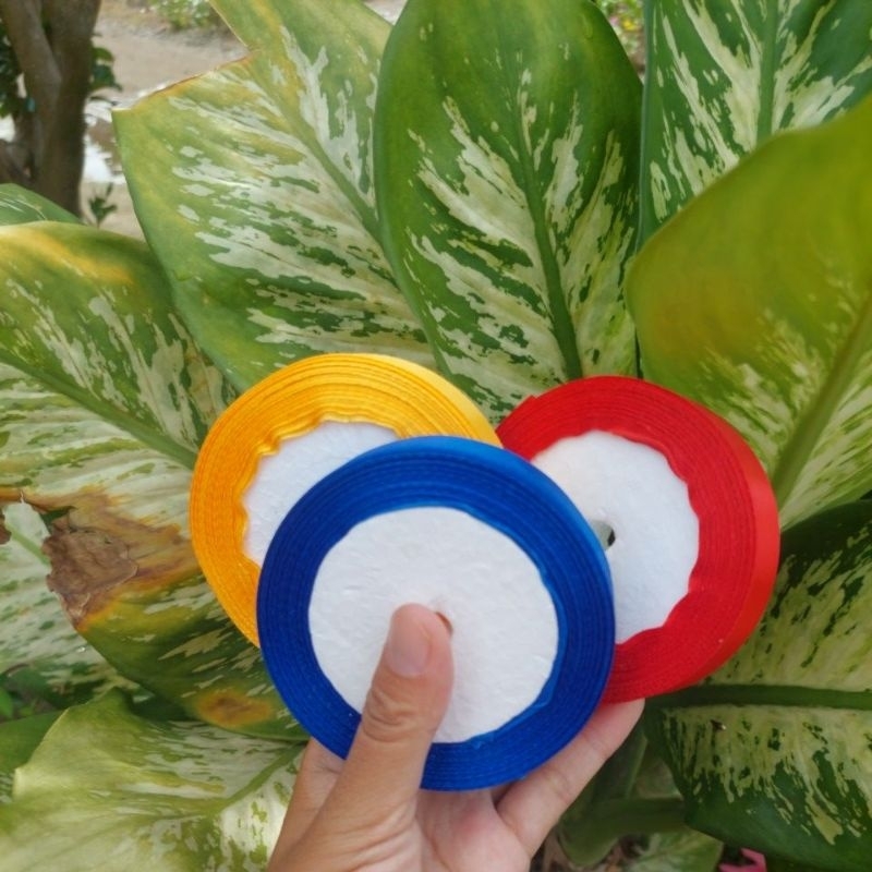 

Pita Satin 3/4" inch 2 cm