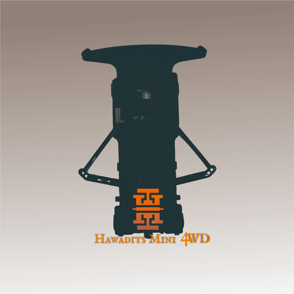 Chassis SFM Carbon Project D - Rep Tamiya