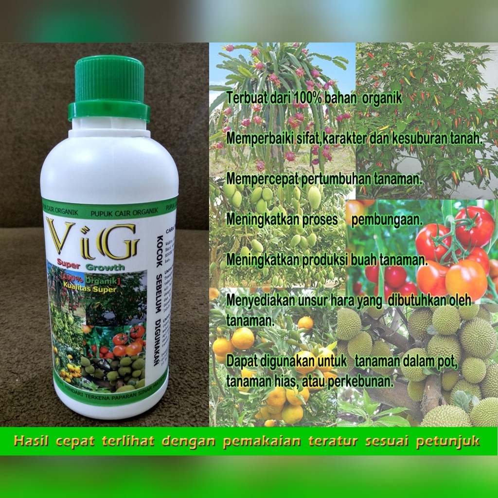 VIG SUPER GROWTH PUPUK PERANGSANG BUNGA BUAH Original Super Quality