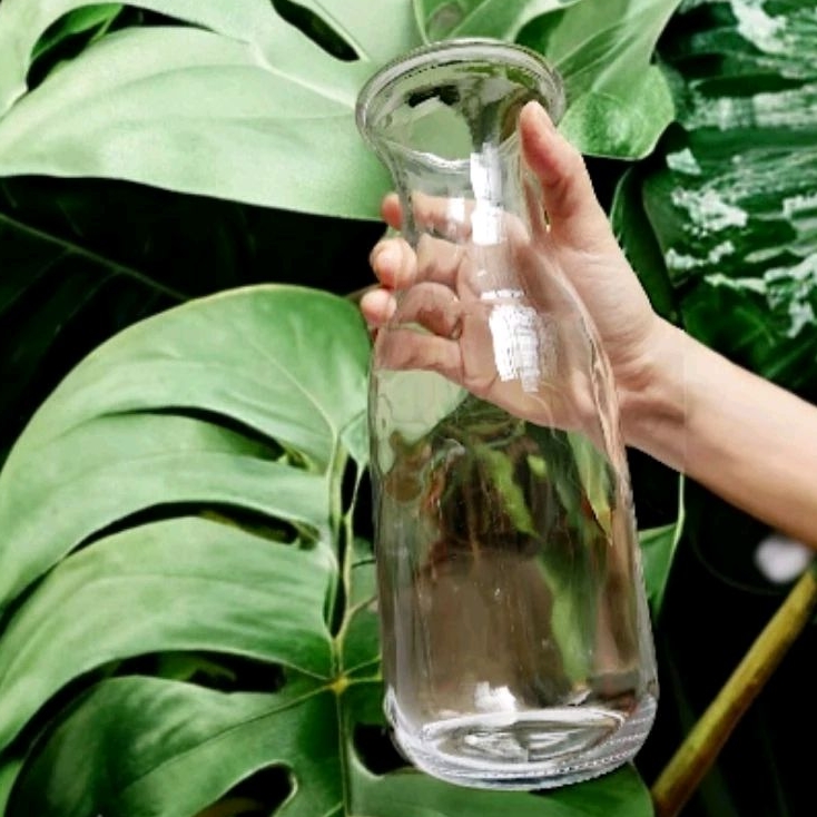 Vas Bunga / Vas Kaca Bening Tinggi Besar Minimalis Estetik / Mawar / Sedap Malam / Vas Kaca Tabung A