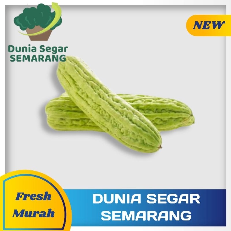 

Sayur Pare 250 gr