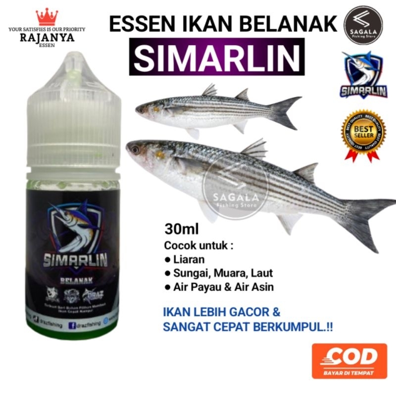 Essen ikan belanak liar paling gacor | Essen simarlin