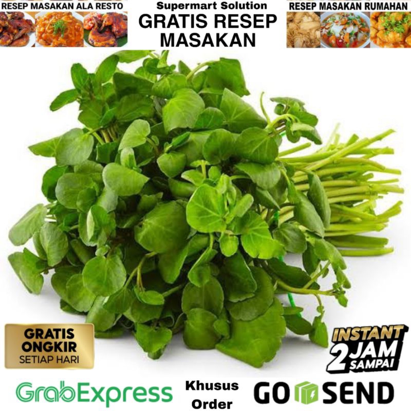 

Selada air / Salada Air / Watercress