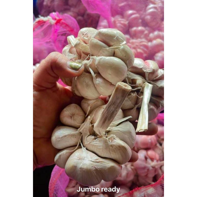 

Bawang putih jumbo berkualitas 1 kg