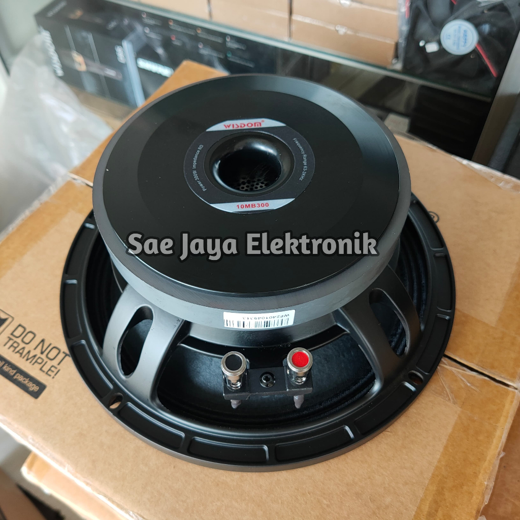 Speaker WISDOM 10 MB 300 / WISDOM 10MB300 / 10 Inch
