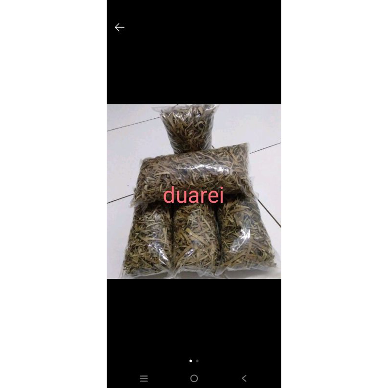 

daun karet kebo siap rebus