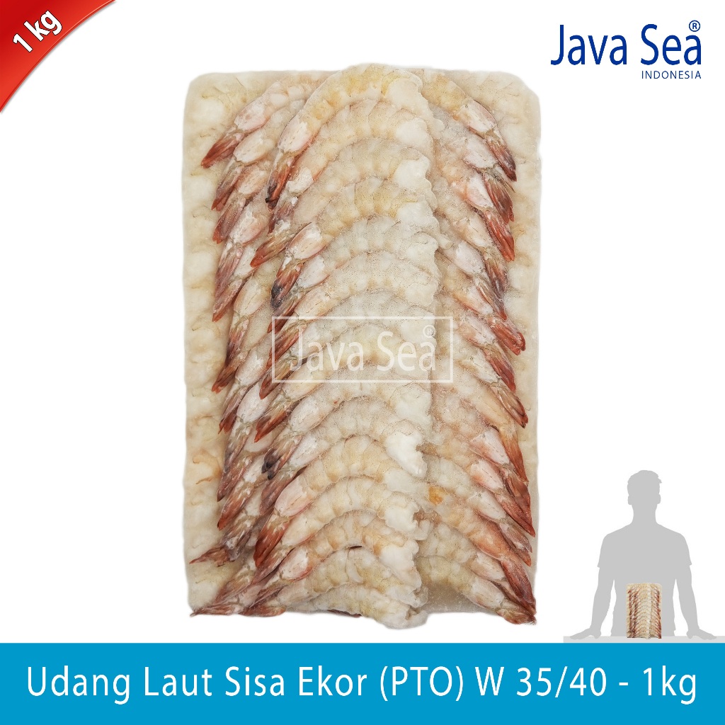 

Udang Laut Sisa Ekor PTO W 35/40 pack 1kg Java Sea