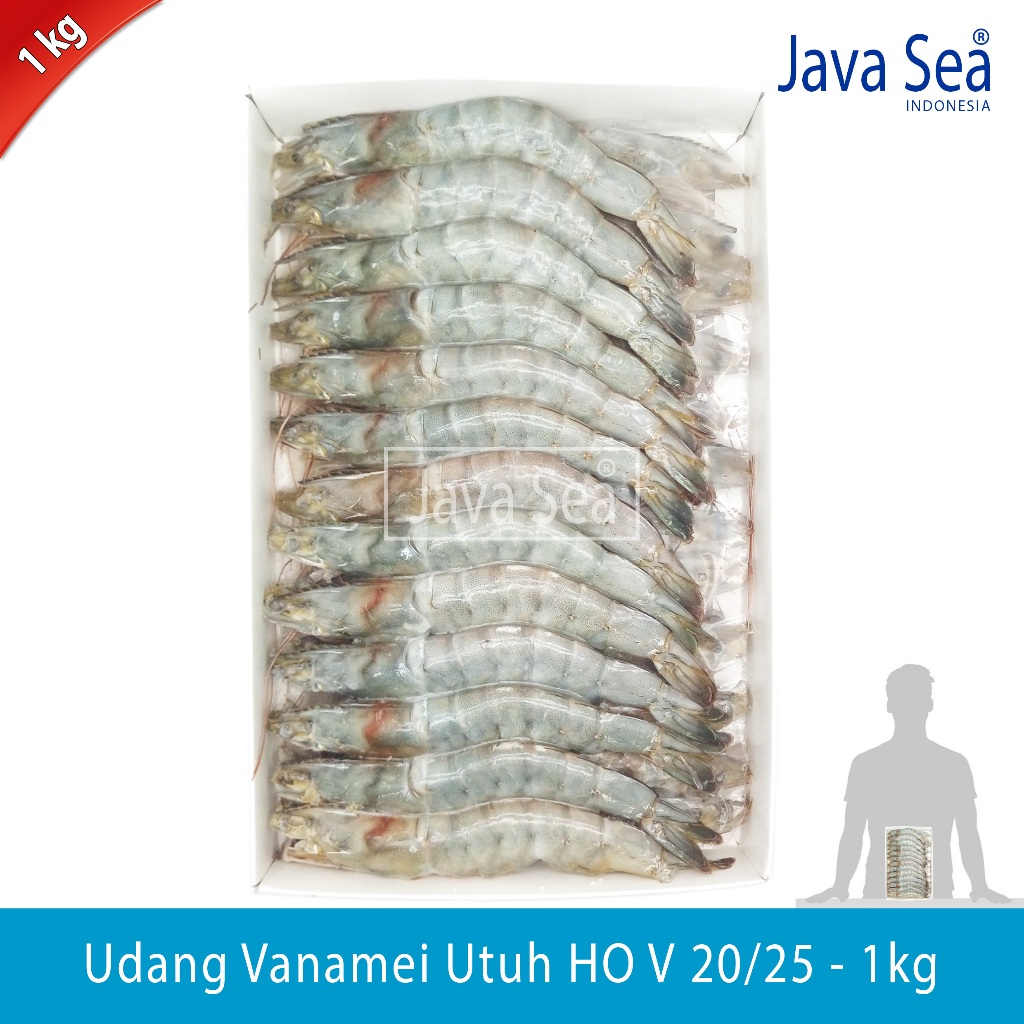 

Udang Vanamei Utuh Ada Kepala HO V 20/25 pack 1kg Java Sea