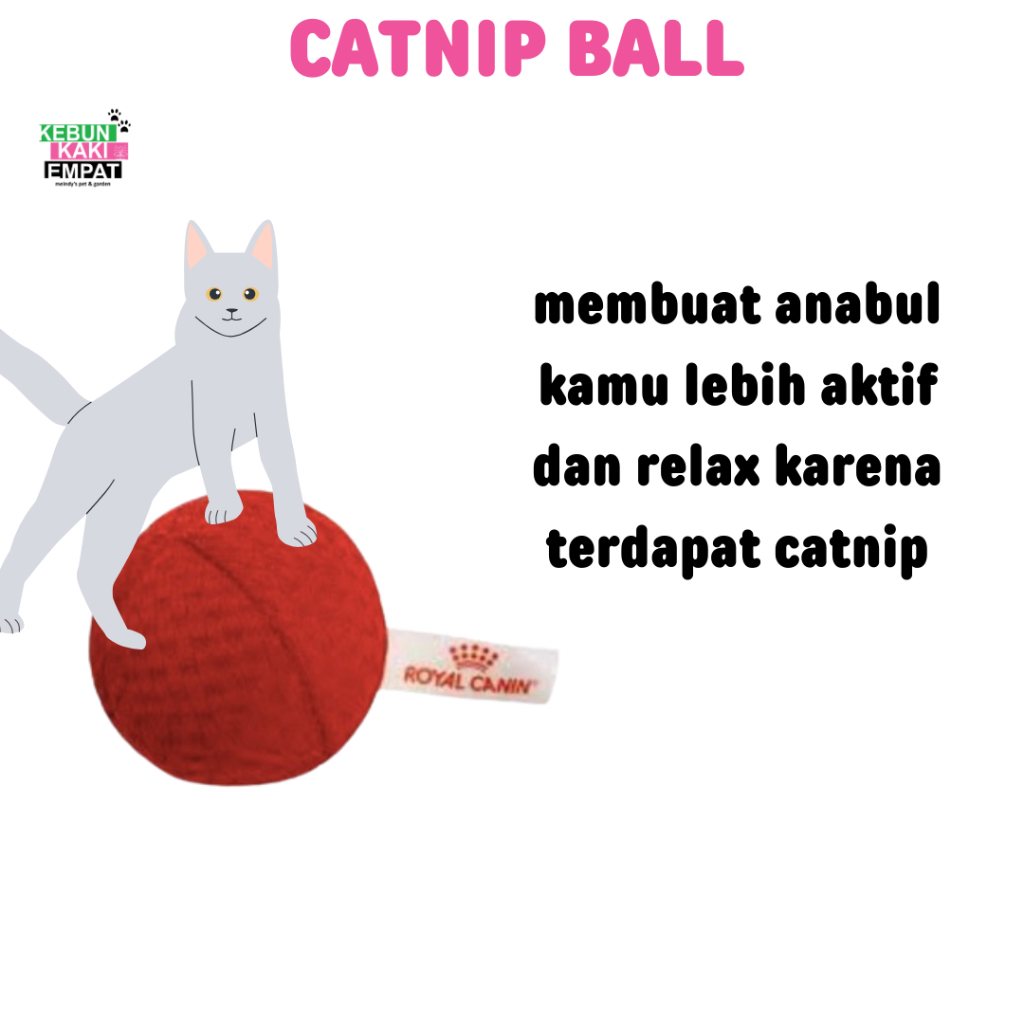 Red Catnip ball Cat toy Mainan Kucing Bola RoyaL Canin