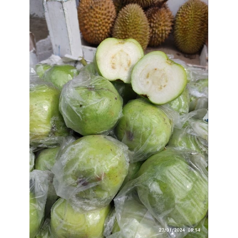 

Buah Jambu Kristal Jambu Putih