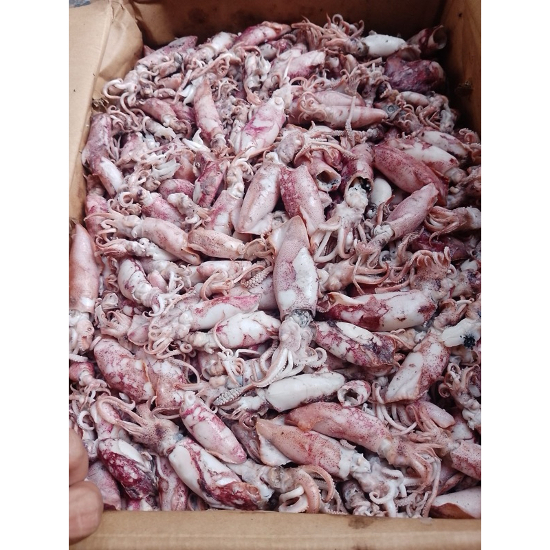 

cumi asin 10kg A full telor