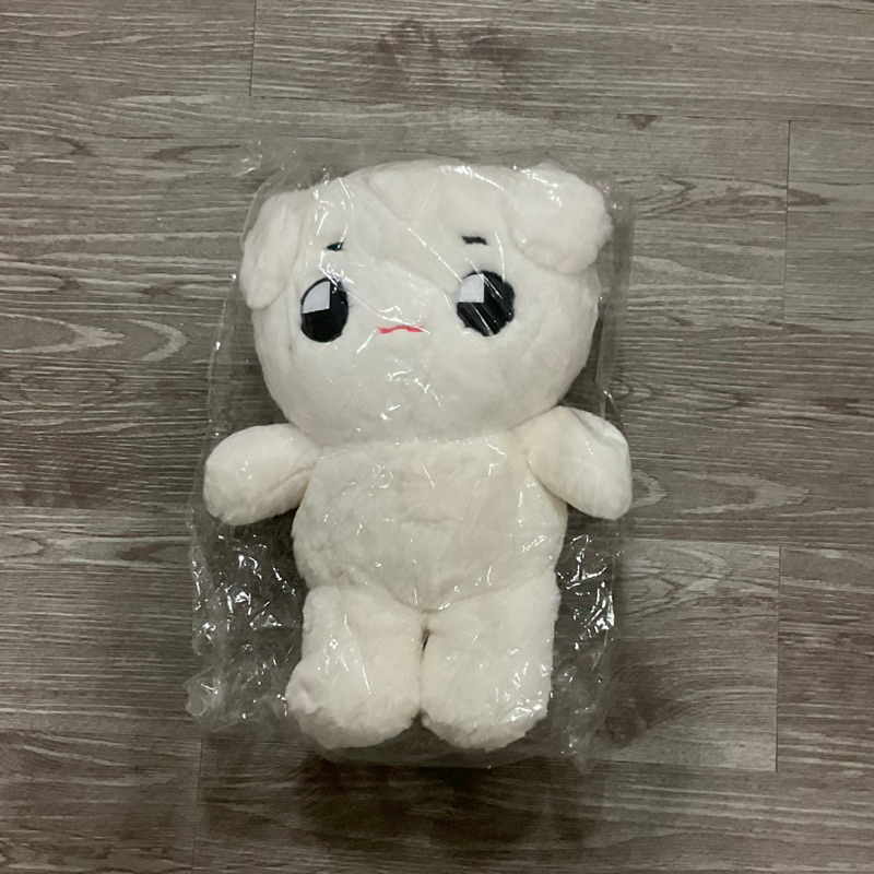 [SEALED READY KAMAR] Big Tyongya 40cm NCT Taeyong doll boneka