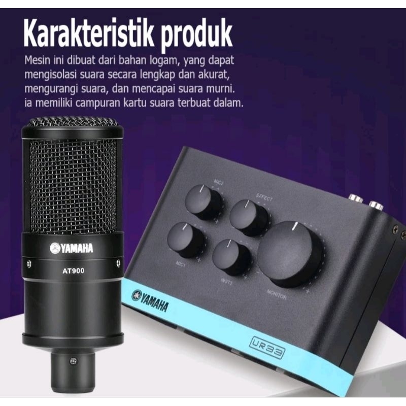 Soundcard Yamaha UR33