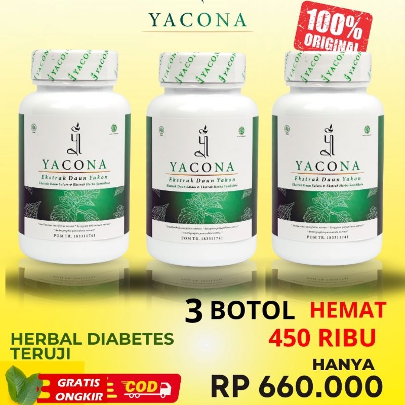 3 Botol Yacona 60 kapsul herbal 100% original