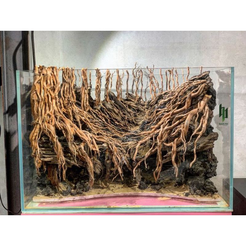 HARDSCAPE JUNGLE AQUARIUM AQUASCAPE SUY AQUARIUM AQUASCAPE HARDSCAPE JUNGLE