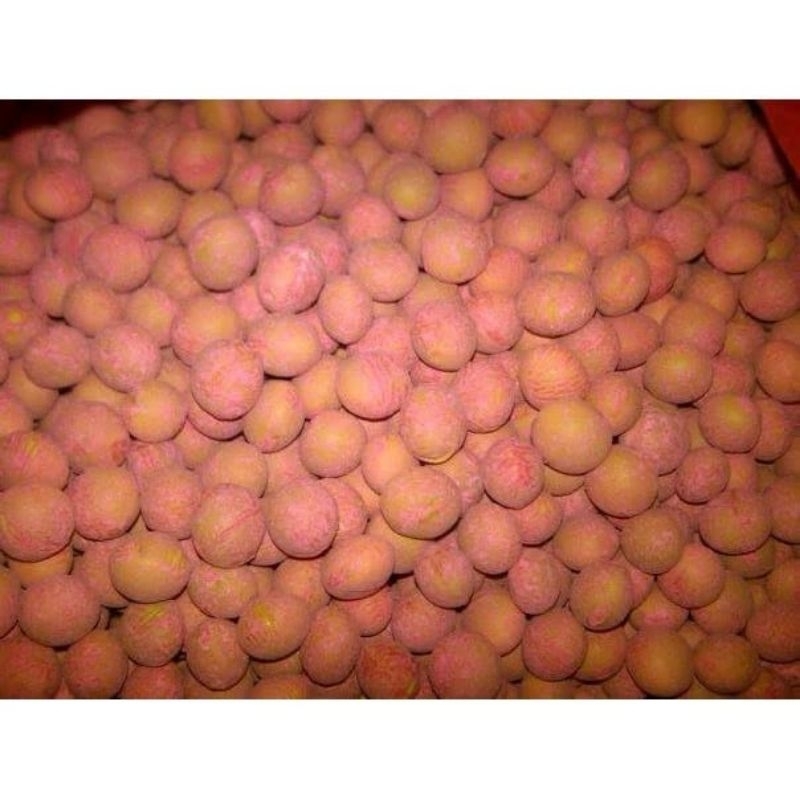 500gram benih kedelai edamame 1250 butir