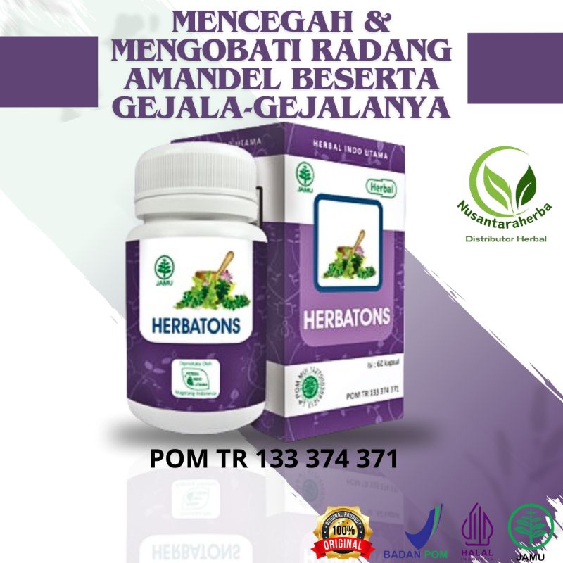 Obat Herbal Amandel Tanpa Operasi Dewasa Herbatons