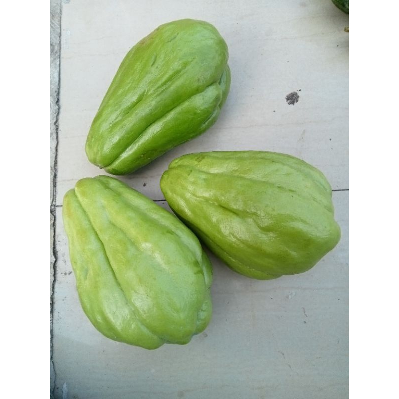 

labu siyam 1 biji 4000