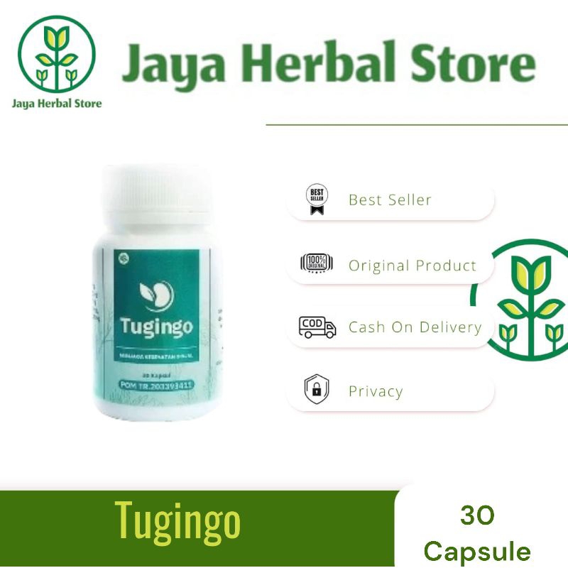 TUGINGO - Obat Batu Ginjal / Obat Ginjal / Ginjal Bocor / Gagal Ginjal