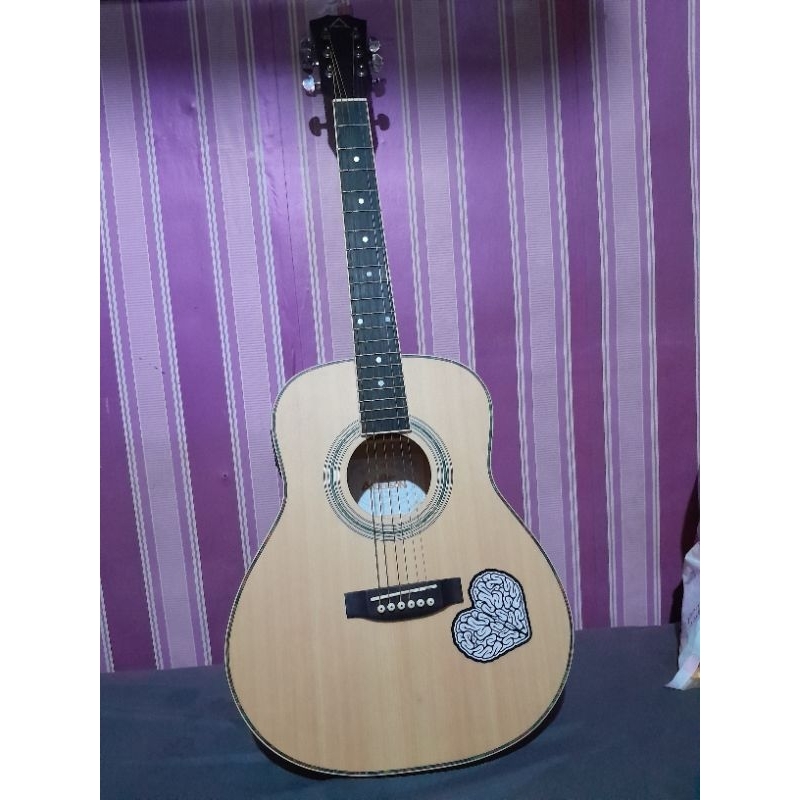 guitar akustik elektrik anderson