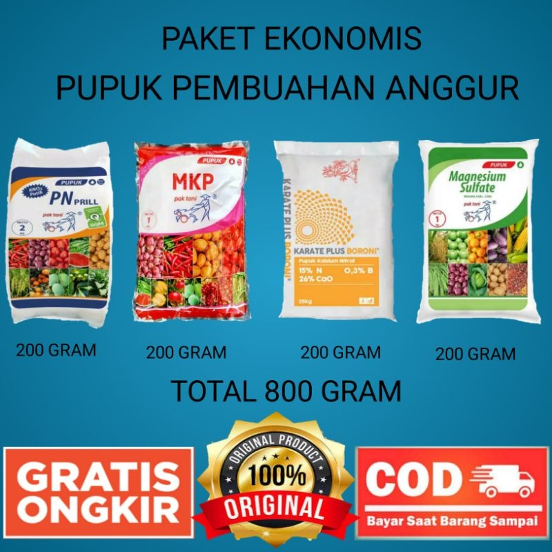 Pupuk anggur paket ekonomis pembuahan anggur cepat berbuah