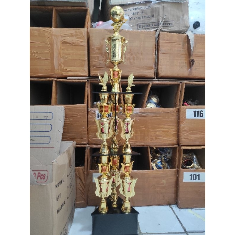 piala bola kaki 6