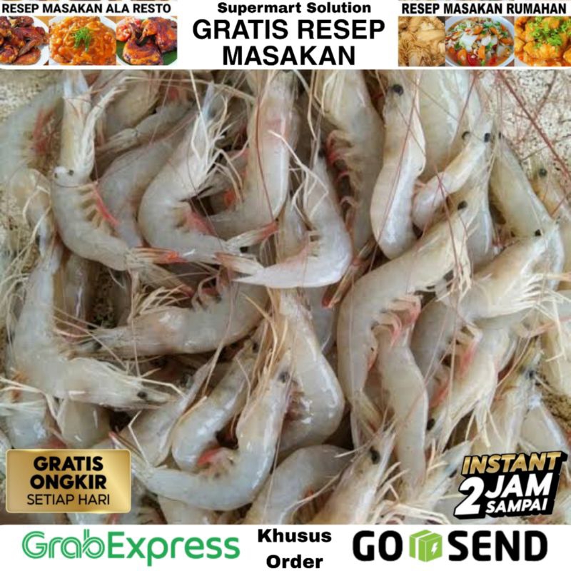 Udang Kecil / Udang Peci Segar