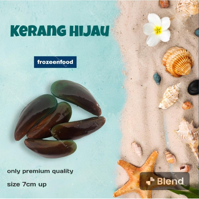 

kerang Hijau