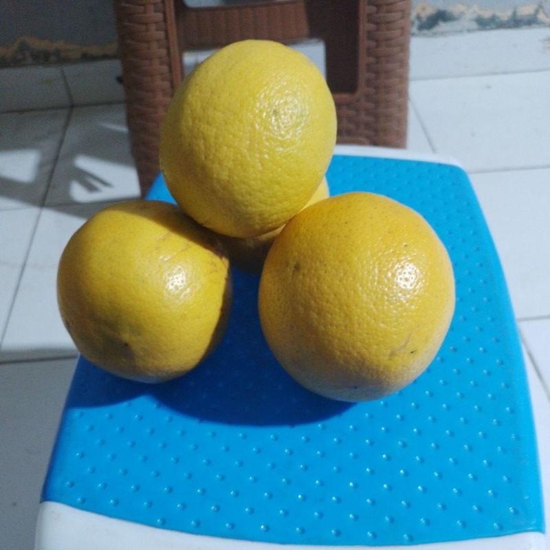 

lemon 10 kg