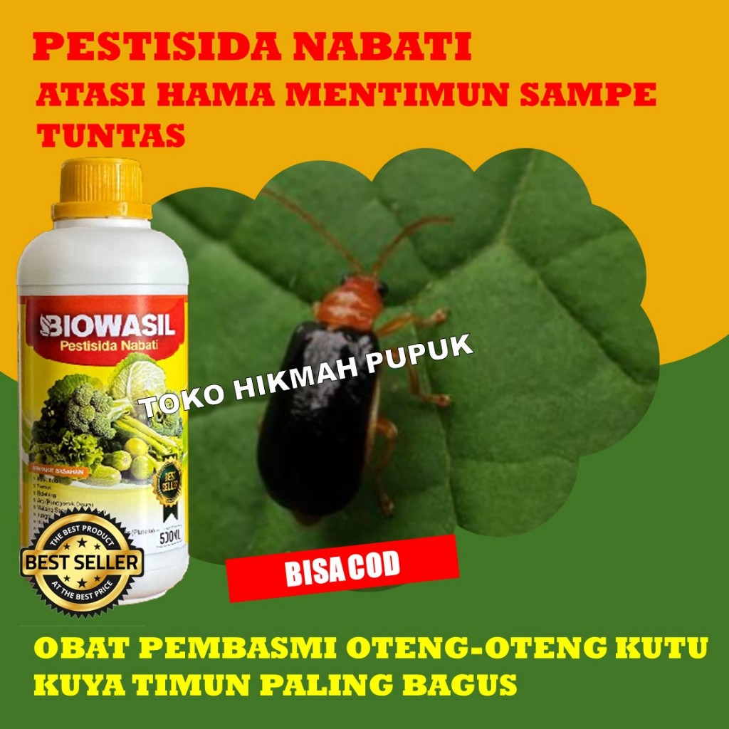 Pestisida Organik Hama Oteng-oteng Pada Mentimun Pupuk Membasmi Hama Kutu Kuya Pada Tanaman Mentimun