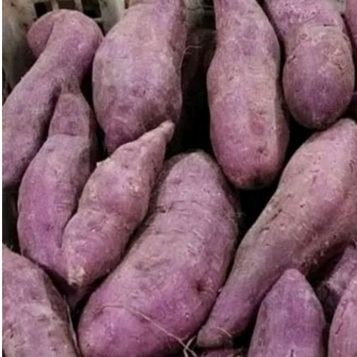 Ubi Jalar ungu 1kg