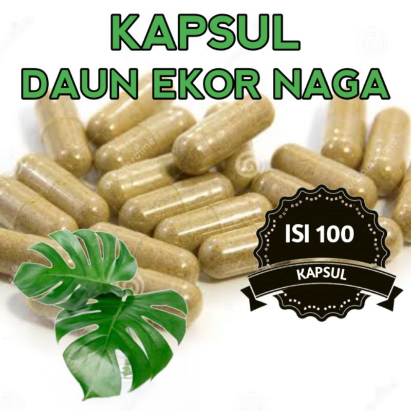 

Kapsul Daun Ekor Naga Herbal Alami Anti Diabetes Isi 100 Pcs