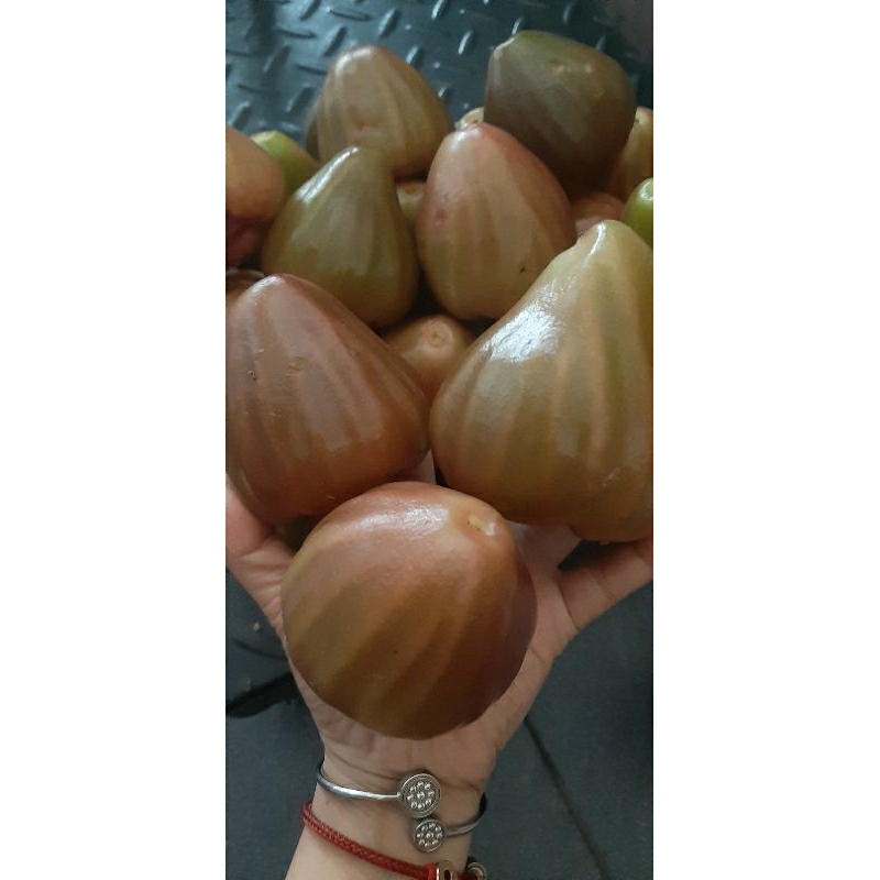 

Jambu Cincalo 1kg