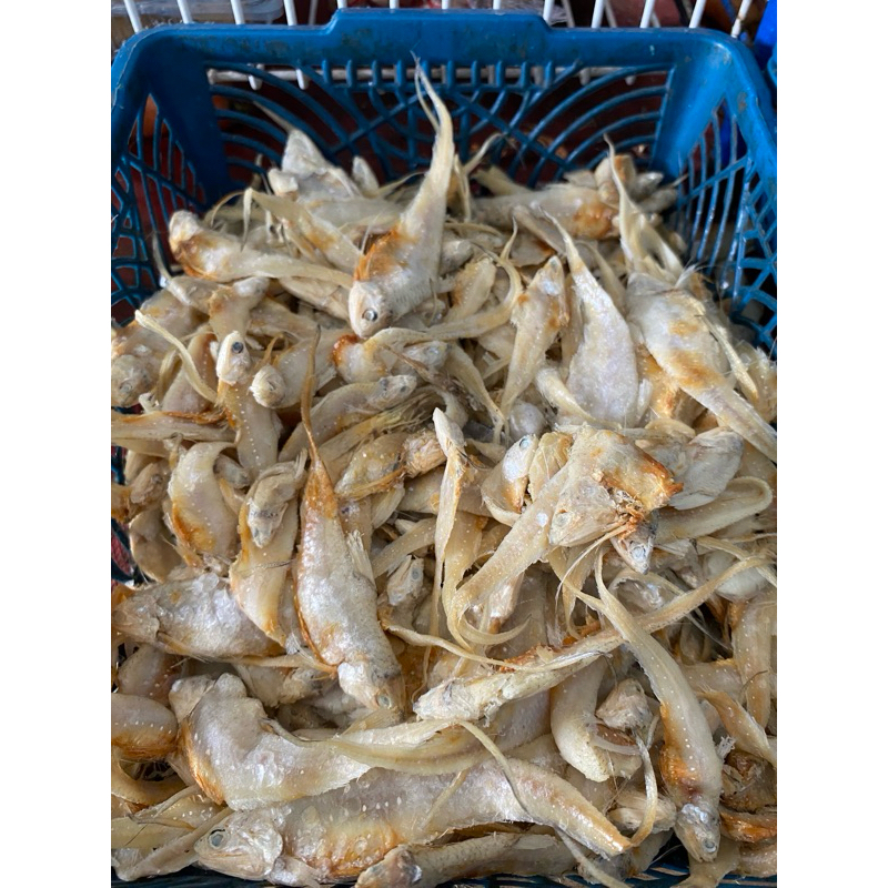 

Ikan asin bulu ayam 100 g