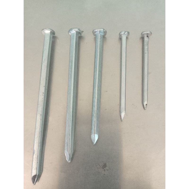 paku putih paku kapal paku perahu harga /10kg