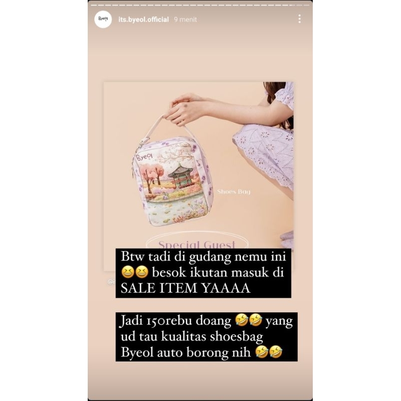 Shoes Bag Byeol
