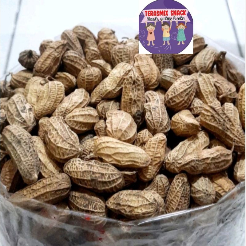 

Kacang Kulit sangrai pasir 250gr - Terasmix Snack